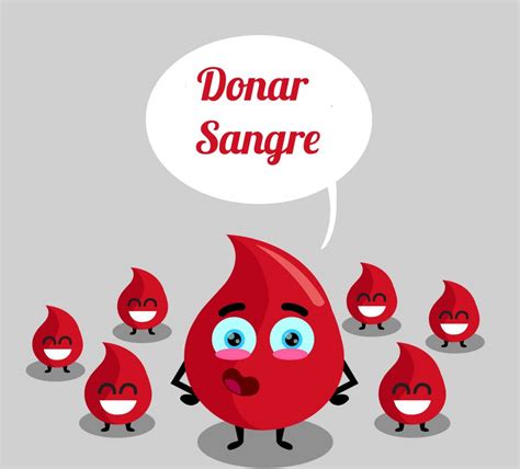 donar sangre - componentes de la sangre